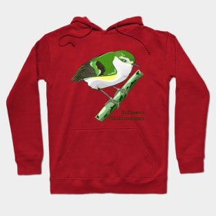 Rifleman  Tititipounamu Hoodie